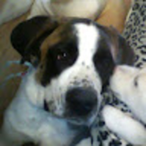 Meet your Posher, Lynn - Picture 1 of 1